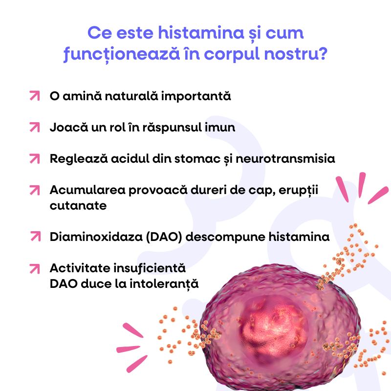 Co je to histamin  a jak funguje v našem těle